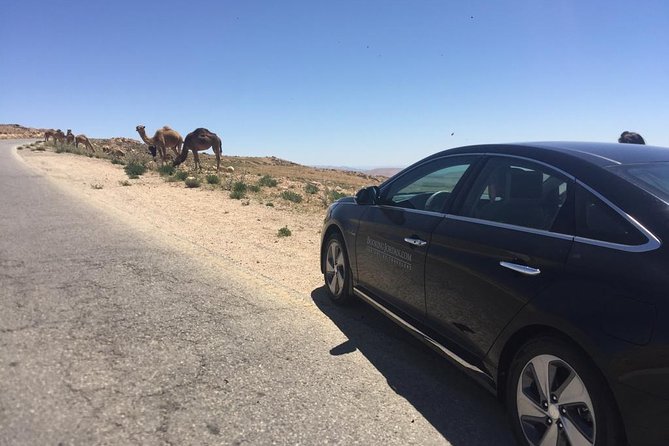 Private Transfer from Amman to Petra, Wadi Musa - Arriving in Petra, Wadi Musa: Getting Set Without Extra Stress