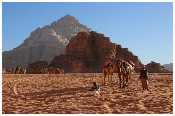 Private transfer Petra to/from Wadi Rum - Who This Transfer Is Best For