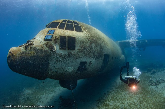 Scuba Diving for Certified Divers - Key highlights to know before you go