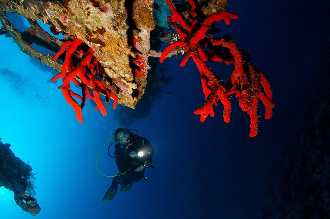 Scuba Diving for Certified Divers - Transfers, boat routine, and how to plan your day in Aqaba