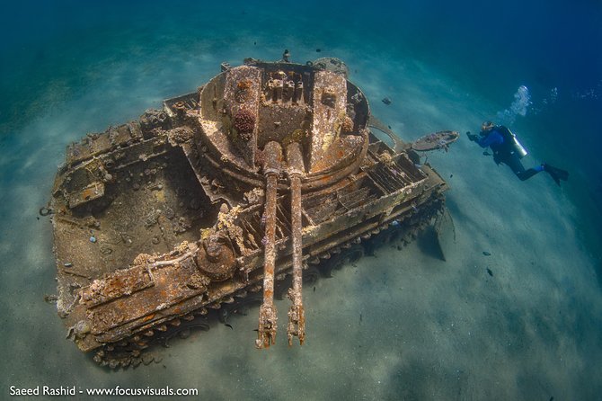 Scuba Diving for Certified Divers - Two guided underwater sessions: what the package is built to show