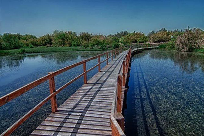 Shaumari Reserve and Azraq Wetland Private Full Day Tour from Amman - Cost, Comfort, and What to Bring for an 8-Hour Wildlife Day