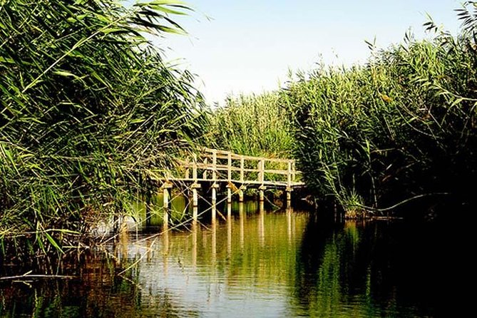 Shaumari Reserve and Azraq Wetland Private Full Day Tour from Amman - Shaumari Wildlife Reserve: Breeding for Oryx and Ostrich