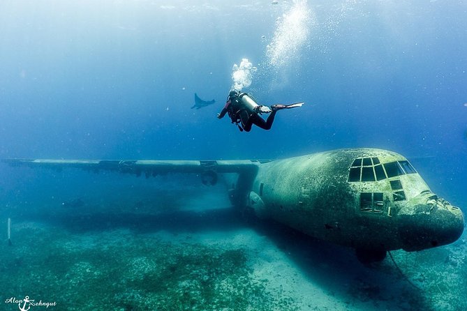 Shore Certified Diving - Two Dives - Full Equipment Means Less Hassle and Better Focus