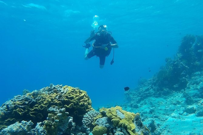 Shore Discover SCUBA Diving/Introductory Diving - One Dive - Your first scuba lesson starts with real preparation at the center