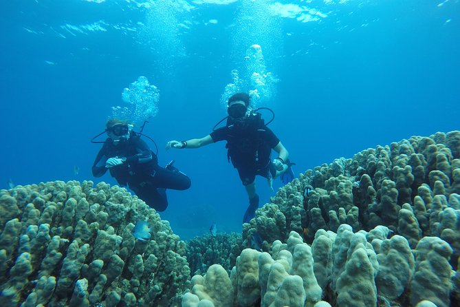 Shore Discover SCUBA Diving/Introductory Diving - One Dive - South Beach time: how the shoreline format usually feels