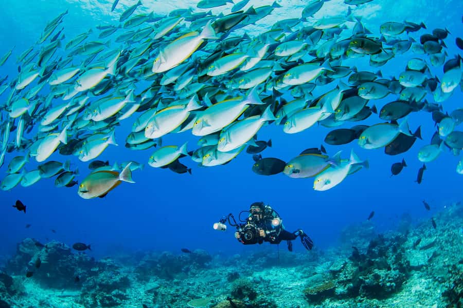 shore dive in red sea with pick up & snacks - Why the Gulf of Aqaba works so well for your first session