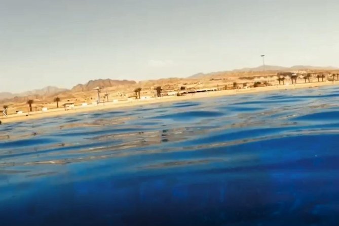 Shore Snorkeling - Two hours - Key highlights to know before you go