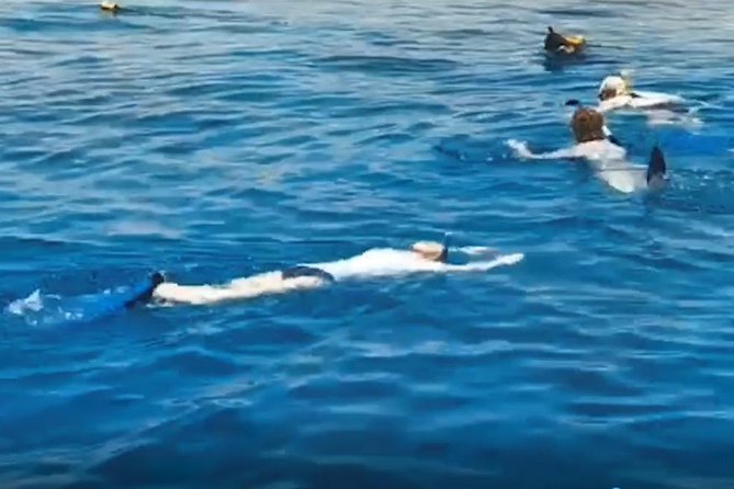 Shore Snorkeling - Two hours - Gear included: what you save, and what to bring anyway