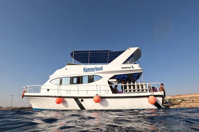 Snorkeling Activity in Aqaba with Lunch and Transportation (Boat) - Aqaba boat snorkeling: why the wreck sites are the point