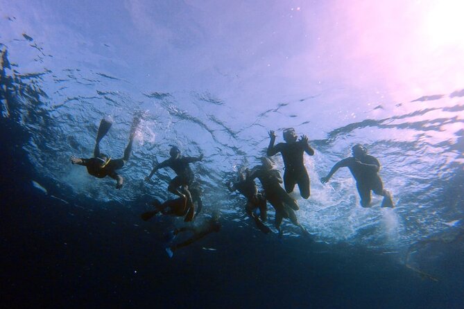Snorkeling Activity in Aqaba with Lunch and Transportation (Boat) - Getting on board: pickup, group size, and equipment check