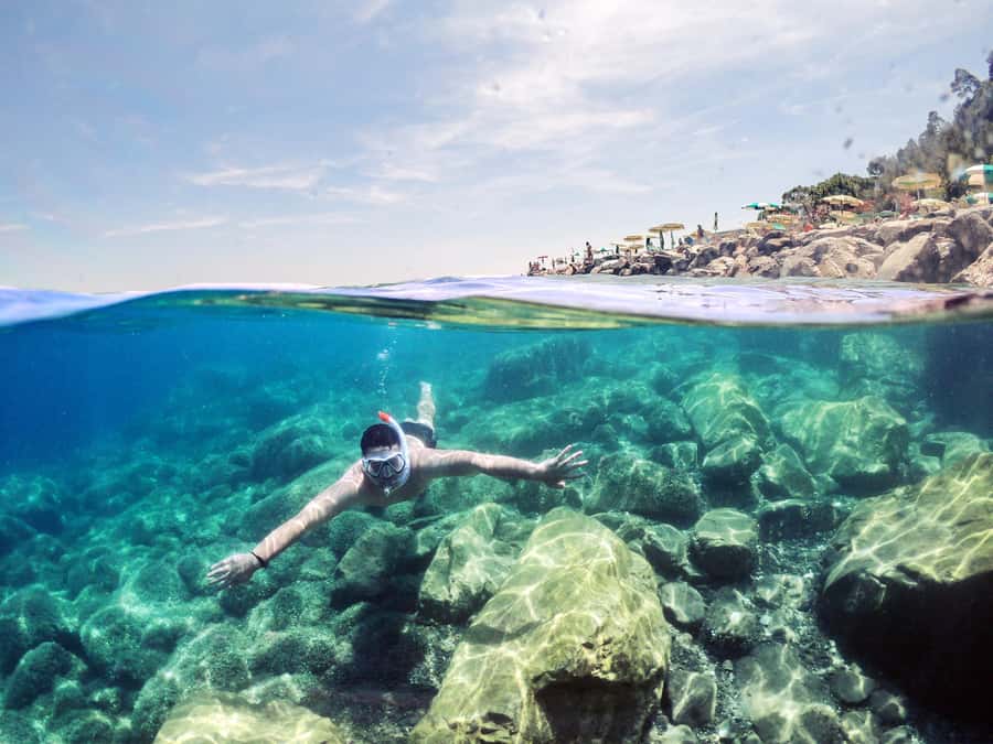 Snorkeling in The Red Sea With Equipment And Free Transfer - Pickup and drop-off in Aqaba Fort, plus the meeting tip