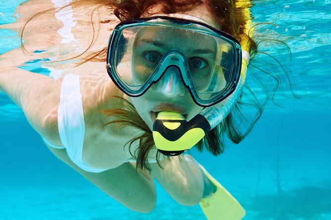 Snorkeling Trip with pick up ( beach) - The Simple Idea: Red Sea Snorkeling That Works as a Shore Excursion