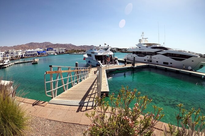 Take advantage of a half-day boat dive experience in Red sea of Aqaba. - Quick Hits Before You Go to Aqaba’s Red Sea