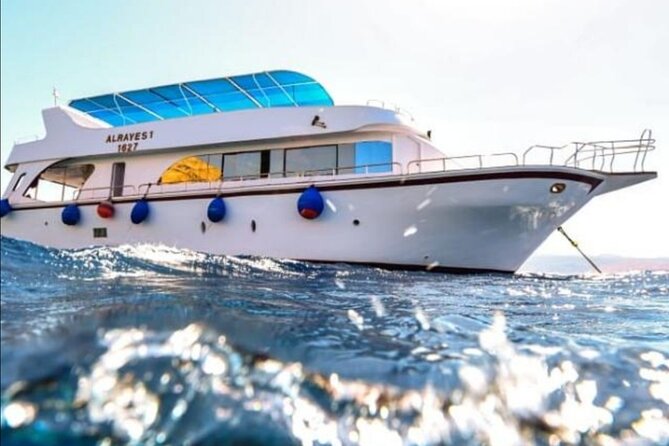 Take advantage of a half-day boat dive experience in Red sea of Aqaba. - Why This Half-Day Aqaba Plan Feels Like Solid Value