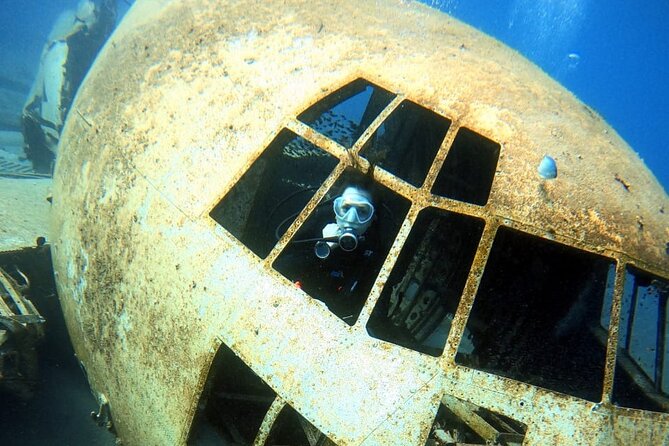 Take advantage of a half-day boat dive experience in Red sea of Aqaba. - The One-Tank Underwater Session, With Beginner Support