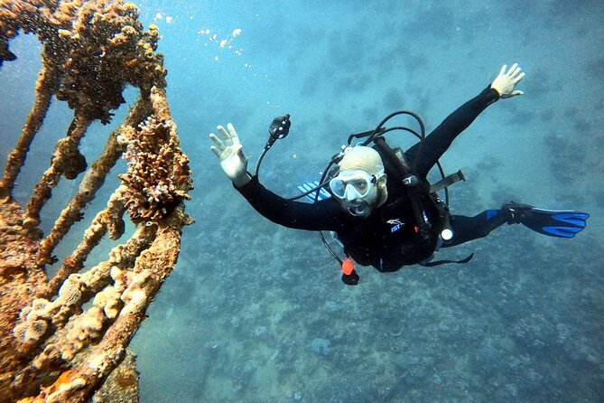 Take advantage of a half-day boat dive experience in Red sea of Aqaba. - After the First Session: Lunch, Drinks, and Snorkeling Time