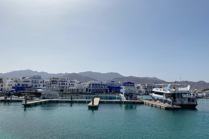 Take advantage of a half-day boat dive experience in Red sea of Aqaba. - Price, Group Size, and Why You Might Choose This Over DIY