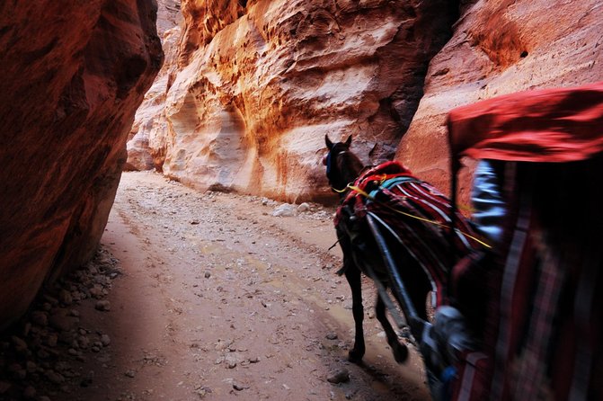 Transportations around Jordan | The Jordanian Mappers - What You Get in the Car: Space, Water, and WiFi