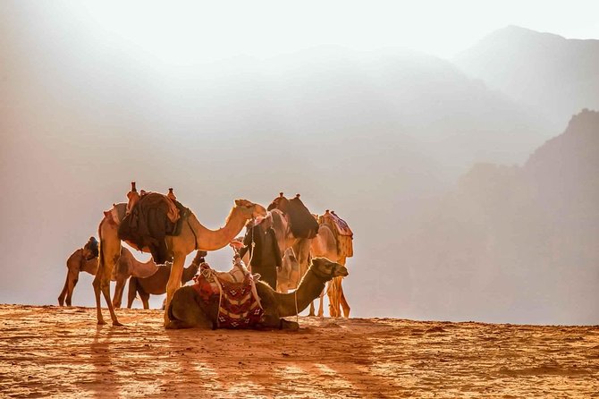 Treasures of Jordan Tour-7 Days Discover Petra & Dead Sea & Wadi Rum with Hotels - Petra in the Rose City, Day 3