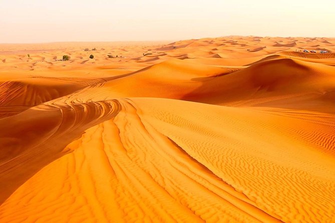 Treasures of Jordan Tour-7 Days Discover Petra & Dead Sea & Wadi Rum with Hotels - Wadi Rum: 4x4 Safari and Camping Under Stars, Day 4
