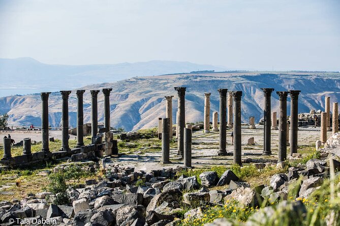 Trip to Jerash, Ajloun and Umm Qais - Drivers and comfort: what makes the ride feel worth it