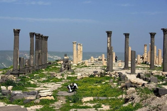 Umm Qais, Ajloun and Jerash Full-Day Tour from Amman - Stop 2: Ajlun Castle, Qalaat ar-Rabad, and the Fort Feel