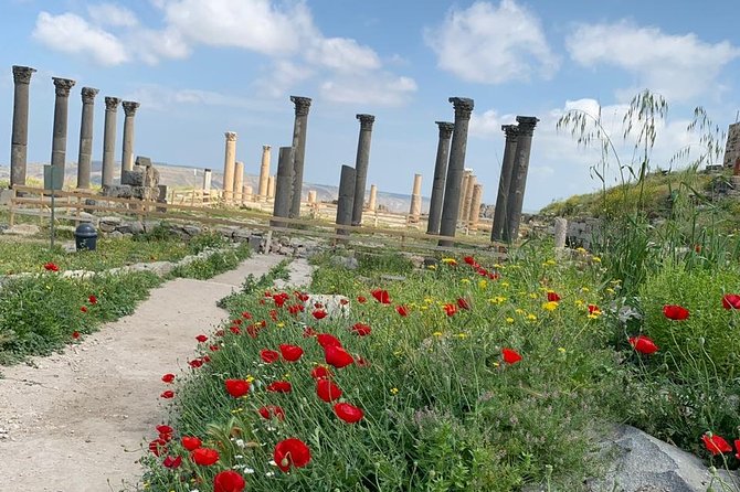 Umm Qais, Jerash & Ajloun Castle Day Tour from Amman - The 8:00 am start, private comfort, and timing that actually works