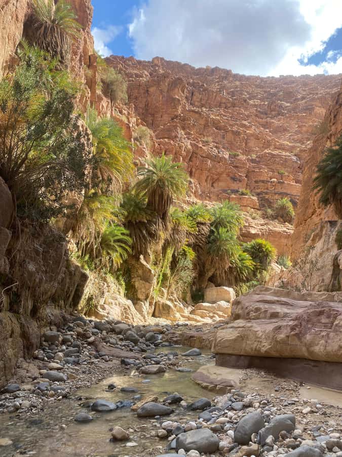 Wadi Ghuweir Full-Day Hike with Local Guide & Lunch. - Key Points You’ll Care About