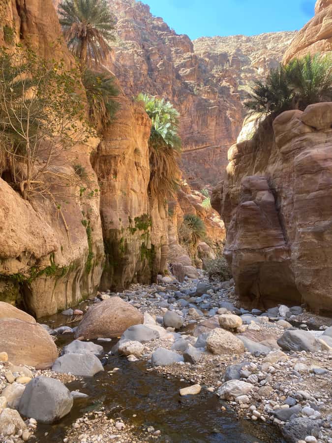Wadi Ghuweir Full-Day Hike with Local Guide & Lunch. - Wadi Ghuweir in Dana Biosphere Reserve: What Makes This Day Different