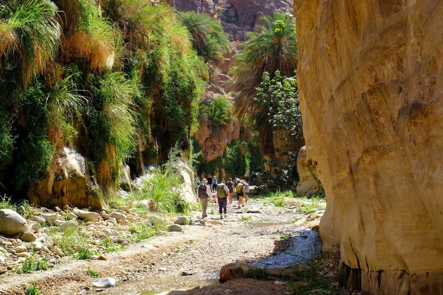 Wadi Ghuweir Full-Day Hike with Local Guide & Lunch. - Entering The Canyon: Stream Walking, Sandstone Walls, and Oasis Green