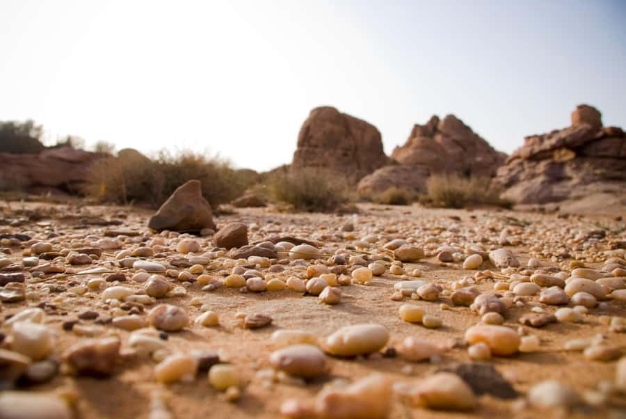 Wadi Rum: 10 Hour Jeep Tour Pass, Camel, Sandbording & Lunch - Pickup and timing, what a 9 to 10 hour day really means