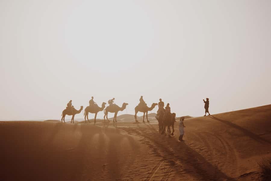 Wadi Rum: 2 Hour Camel Ride at Sunset/Sunrise Overnight - Key things to know before you go