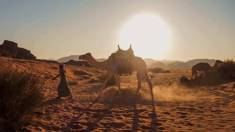 Wadi Rum: 2 Hour Camel Ride at Sunset/Sunrise Overnight - Price and value: what $83 buys you in Wadi Rum