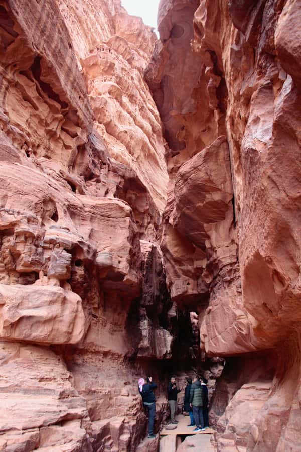 Wadi Rum: 2nights|3Day all-inclusive BedouinDesertExperience - Price and Value: Is $255 a Good Deal Here?