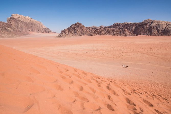 Wadi Rum: 4 Hour Highlights Tour - Who This Tour Suits Best (And Who Might Want More)