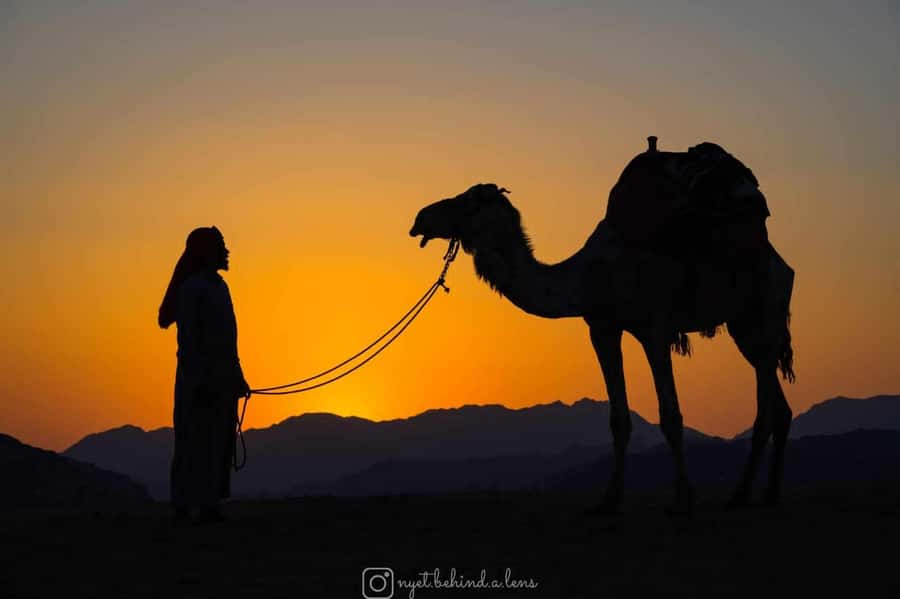 Wadi Rum: Camel Ride with tea and Bedouin Guide - Key things to know before you go