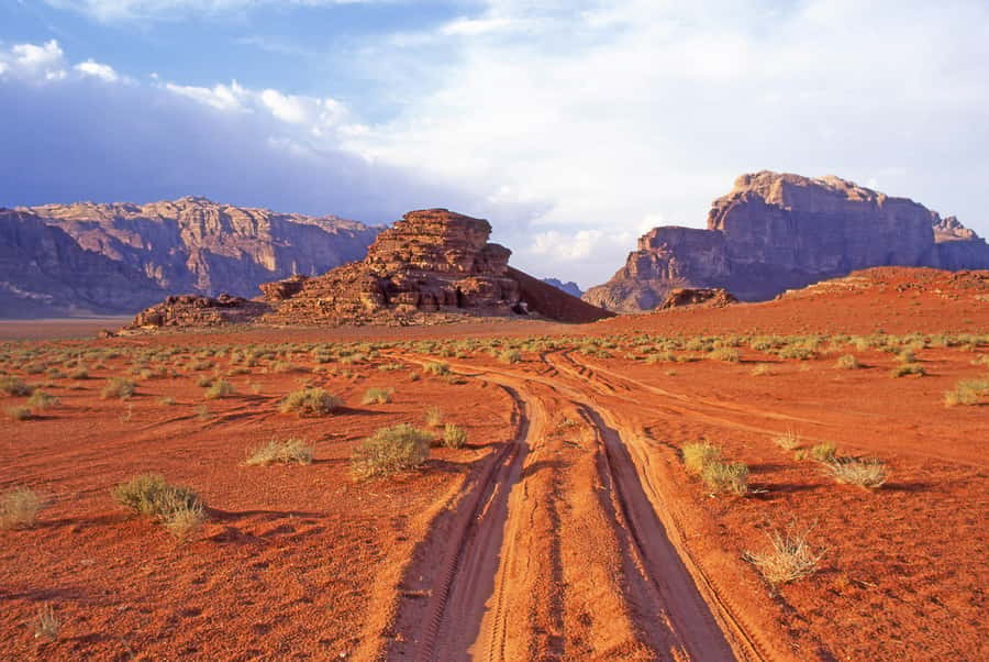 Wadi Rum: Camel Ride with tea and Bedouin Guide - One Hour on the Camel: The Ride, the Rhythm, and the Views