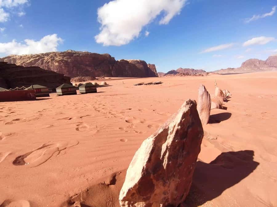 Wadi Rum: Camel Ride with tea and Bedouin Guide - Transfers and Timing: The Whole Flow in Plain English