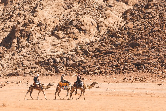 Wadi Rum: Camel Trek Adventure - Enter Wadi Rum from the Wadi Rum Rest House