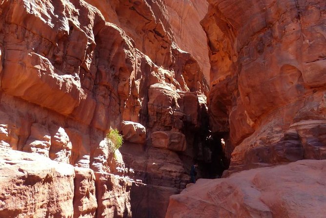 Wadi Rum: Camel Trek Adventure - How the ride really feels, from pace to photos