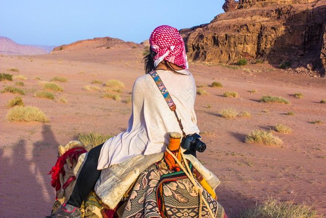 Wadi Rum: Camel Trek Adventure - Red Sand value: price, entrance fees, and what you truly pay for