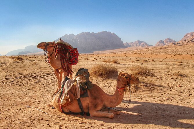 Wadi Rum: Camel Trek Adventure - Use the rest of the day wisely after 3 to 4 hours