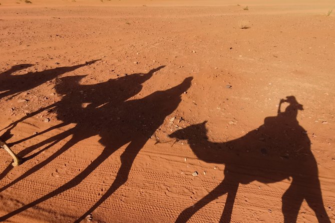 Wadi Rum: Camel Trek Adventure - Private camel trek: no large-group stampede