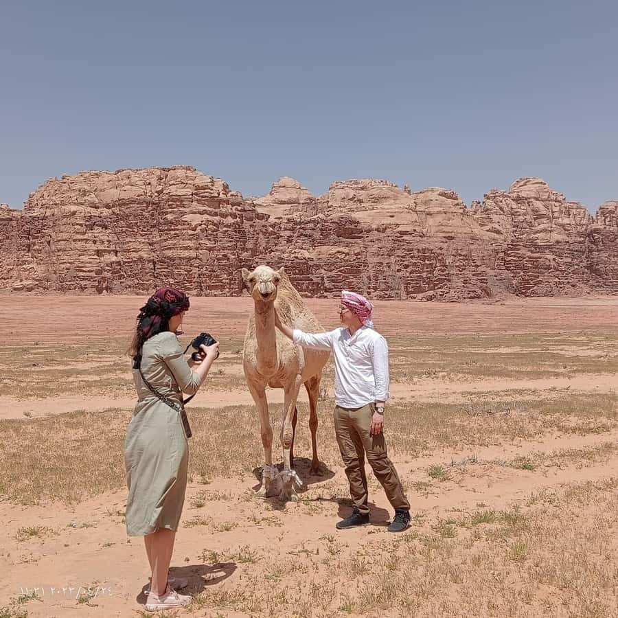 Wadi Rum Classic 4-Hour Jeep Safari - Morning vs Sunset: Choose Your Desert Mood