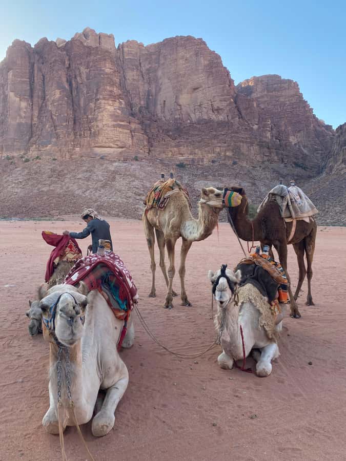 Wadi Rum Classic 4-Hour Jeep Safari - Who This Safari Fits Best