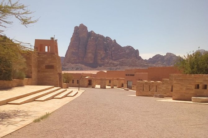 Wadi Rum Day Tour from Petra ending in Aqaba - Who should book this tour (and who might not)