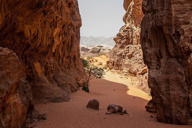 Wadi Rum Desert Tour with Lunch & Sunset - Khazali Canyon and Little Rock Bridge: fun walking with big payoffs