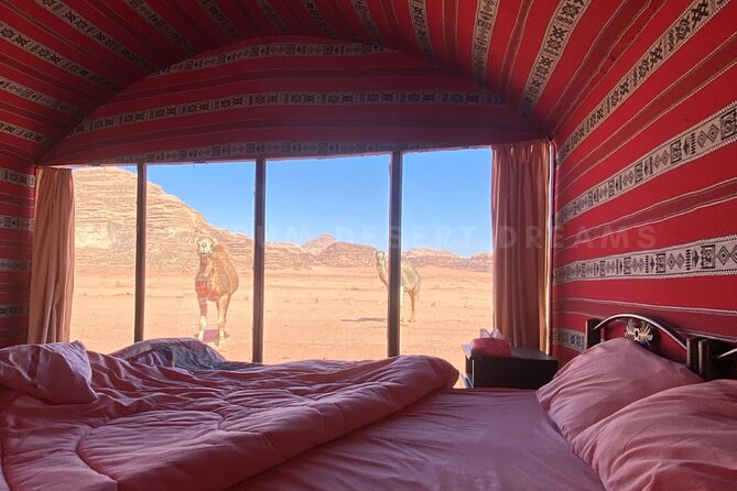 Wadi Rum Full Day Jeep Tour + Overnight & Dinner in Bedouin Camp - Sunset viewpoint tea: where the timing really matters