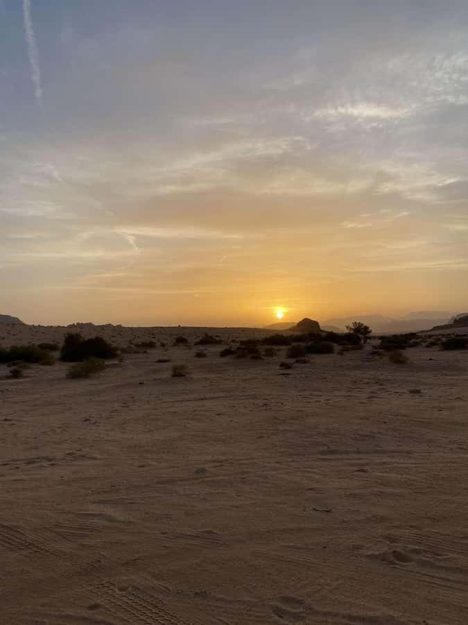 Wadi Rum:Full Day Tour Lunch Sand boarding Camel Ride Sunset - Price and Value: What USD 44 Buys, and What It Does Not